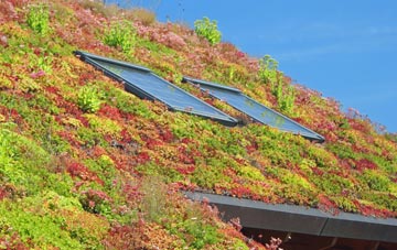 Ballycloghan living roof systems